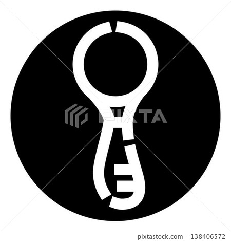 Skeleton key icon representing access and security 138406572