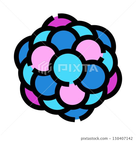 Morula embryo showing cell division and development concept Morula embryo showing cell division and development concept 138407142