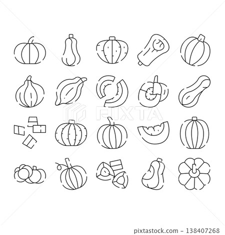 Autumn harvest pumpkins and squash vegetables set Autumn harvest pumpkins and squash vegetables set 138407268