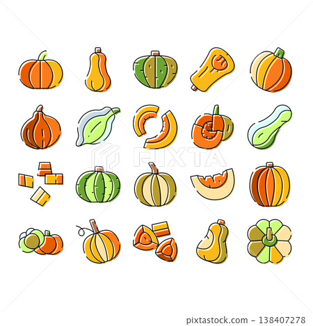 Pumpkins and squash whole and sliced illustrations 138407278