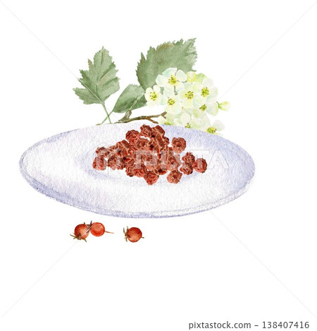 A composition featuring a pile of dried red hawthorn berries on a saucer and a branch with flowers and leaves. Hand-drawn watercolor illustration on an isolated background. Simple botanical clip art. 138407416