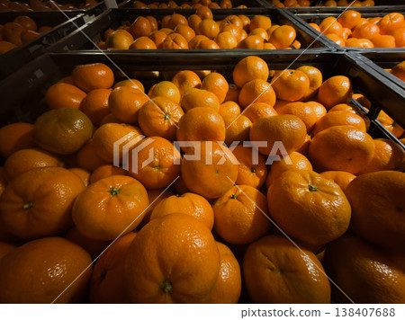Colorful Arrangement Of Ripe Citrus Fruits With Textured Peels Colorful Arrangement Of Ripe Citrus Fruits With Textured Peels 138407688