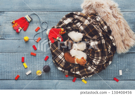 Kittens and mittens. White, Red and grey newborn kittens in a plaid blanket. Sweet adorable tiny kittens on a serenity blue wood play with cat toy and mittens. Funny kittens crawling and meowing Kittens and mittens. White, Red and grey newborn kittens in a plaid blanket. Sweet adorable tiny kittens on a serenity blue wood play with cat toy and mittens. Funny kittens crawling and meowing 138408456