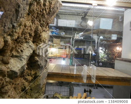 Behind the aquarium 138409008