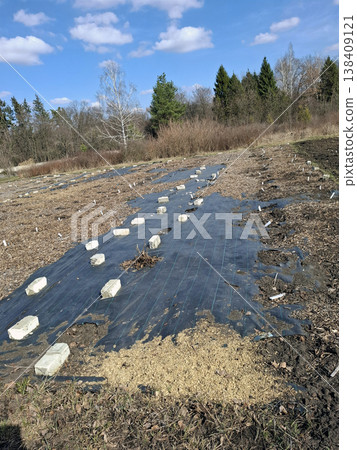 A garden plot is ready for planting with black mulch film spread across the soil. White bricks hold down the mulch under a blue sky with fluffy clouds. The area is open and clear. A garden plot is ready for planting with black mulch film spread across the soil. White bricks hold down the mulch under a blue sky with fluffy clouds. The area is open and clear. 138409121