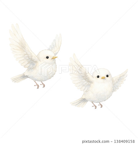 兩隻小白鳥，水彩插畫。可愛友善的野生鳥類插畫，採用自然的手繪風格，描繪了鳥兒飛翔的姿態。 138409158