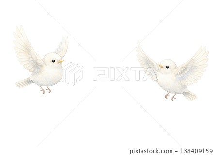 兩隻小白鳥，水彩插畫。可愛友善的野生鳥類插畫，採用自然的手繪風格，描繪了鳥兒飛翔的姿態。 138409159