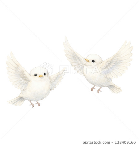 兩隻小白鳥，水彩插畫。可愛友善的野生鳥類插畫，採用自然的手繪風格，描繪了鳥兒飛翔的姿態。 138409160