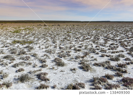 Salty soil in a dry lagoon, Salty soil in a dry lagoon, 138409300