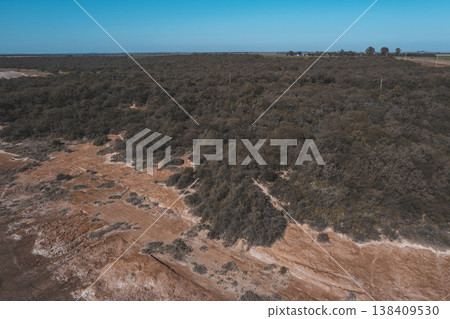 Pampas forest, Calden tree, Prosopis Caldenia, endemic species in La Pampa, Patagonia, Argentina Pampas forest, Calden tree, Prosopis Caldenia, endemic species in La Pampa, Patagonia, Argentina 138409530