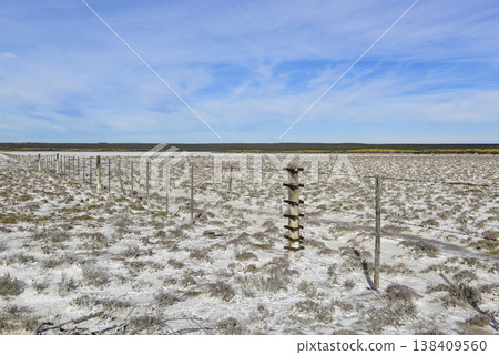 Salty soil in a dry lagoon, in the south of the province of La Pampa, Patagonia, Argentina. Salty soil in a dry lagoon, in the south of the province of La Pampa, Patagonia, Argentina. 138409560