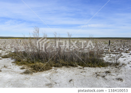 Salty soil in a dry lagoon, in the south of the province of La Pampa, Patagonia, Argentina. 138410053