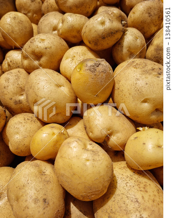 Fresh potatoes on the farm. 138410561