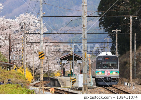 秩父鐵道:“春天的武州日野站,櫻花盛開,列車車頭繪有櫻花圖案” 秩父鐵道:“春天的武州日野站,櫻花盛開,列車車頭繪有櫻花圖案” 138411074