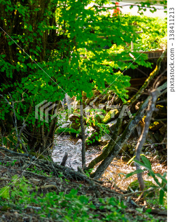 The river flowing beside the thousand Katsura trees The river flowing beside the thousand Katsura trees 138411213