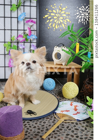 Summer imagery of Tanabata, fireworks, and a Chihuahua Summer imagery of Tanabata, fireworks, and a Chihuahua 138411266