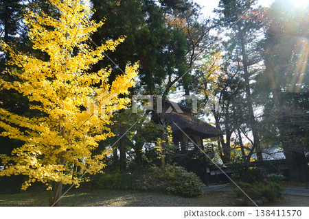 Autumn leaves at Sainenji Temple, 2025-11-16, #25 Autumn leaves at Sainenji Temple, 2025-11-16, #25 138411570
