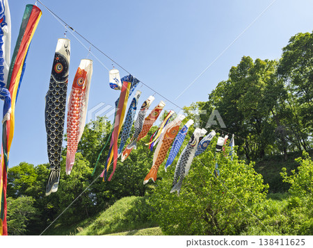 A cluster of carp streamers fluttering in the May sky, shining amidst the fresh greenery and the sun. 138411625