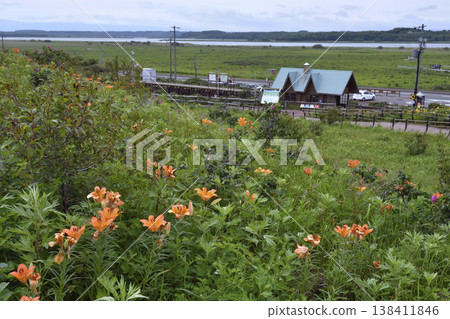 斑百合和源生花園站（北海道小清水町） 138411846