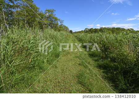 釧路濕地展望台步道(北海道釧路市) 釧路濕地展望台步道(北海道釧路市) 138412010
