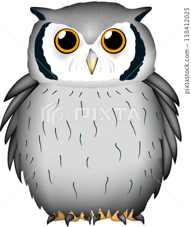 貓頭鷹插圖，非洲角鴞，向量圖。 138412025