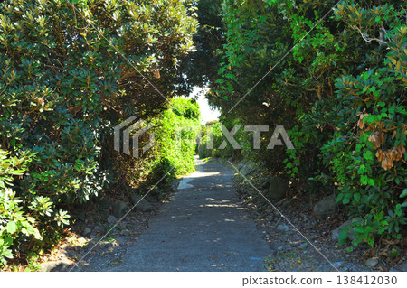 Cave in Sagata, Akune City Cave in Sagata, Akune City 138412030