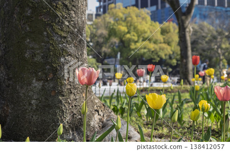 An oasis in the city. Colorful tulips shining in the sunlight filtering through the trees. An oasis in the city. Colorful tulips shining in the sunlight filtering through the trees. 138412057