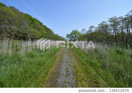 釧路濕地展望台步道（北海道釧路市） 138412070