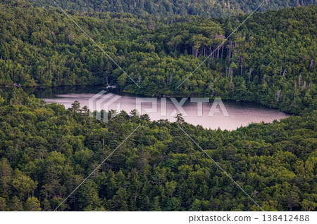 從八岳北部的紐山眺望白駒池的黎明景色。 138412488