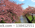 Kasamatsu Kawazu Cherry Blossom Road: Kawazu cherry blossoms in full bloom 138412551