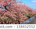 Kasamatsu Kawazu Cherry Blossom Road: Kawazu cherry blossoms in full bloom 138412552
