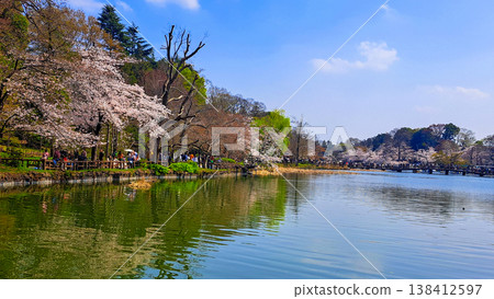 井之頭池 (16:9) 138412597