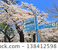 A signpost for spring when cherry blossoms are in bloom. 138412598