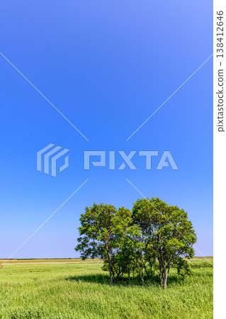 宗谷高原與惠沙努卡線 138412646