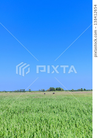宗谷高原與惠沙努卡線 138412654