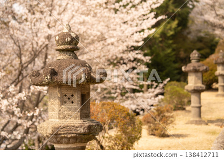 櫻花環繞的吉比津神社 櫻花環繞的吉比津神社 138412711