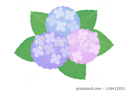 A cute illustration of three clusters of hydrangea flowers. A cute illustration of three clusters of hydrangea flowers. 138412852