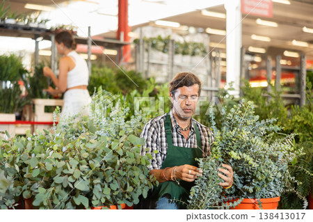 Middle-aged salesman holding bouquet of dry flowers in plants market Middle-aged salesman holding bouquet of dry flowers in plants market 138413017