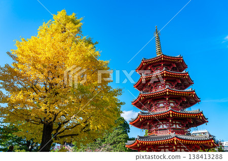 【神奈川縣】川崎大師寺的八角五層寶塔和金燦燦的銀杏樹 138413288