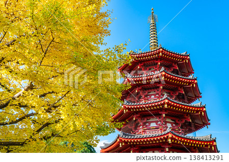 [Kanagawa Prefecture] The octagonal five-story pagoda and the brightly shining yellow ginkgo trees of Kawasaki Daishi Temple 138413291