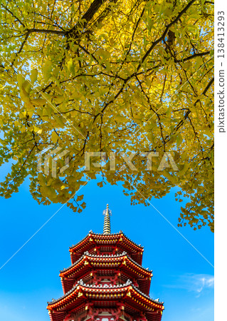 【神奈川縣】川崎大師寺的八角五層寶塔和金燦燦的銀杏樹 【神奈川縣】川崎大師寺的八角五層寶塔和金燦燦的銀杏樹 138413293