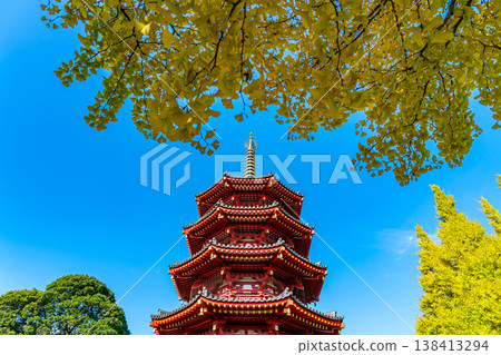 【神奈川縣】川崎大師寺的八角五層寶塔和金燦燦的銀杏樹 【神奈川縣】川崎大師寺的八角五層寶塔和金燦燦的銀杏樹 138413294