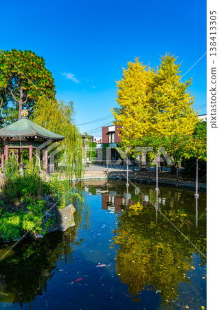[Kanagawa Prefecture] Autumn deepens at Tsuru-no-ike Pond in Kawasaki Daishi 138413305