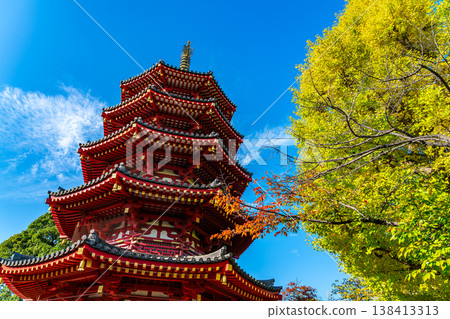 【神奈川縣】川崎大師寺的八角五層寶塔和金燦燦的銀杏樹 138413313