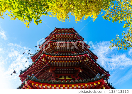 [Kanagawa Prefecture] The octagonal five-story pagoda and the brightly shining yellow ginkgo trees of Kawasaki Daishi Temple 138413315
