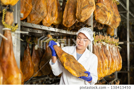 Girl employee checks jamon. Quality control Girl employee checks jamon. Quality control 138413450