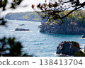 透過樹木可以看到大海和海岸線。 138413704
