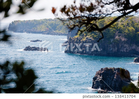 The sea and coastline seen through the trees The sea and coastline seen through the trees 138413704