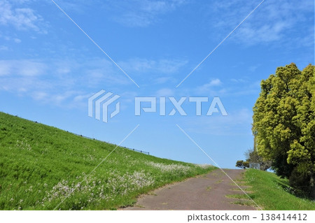 Greenery and blue sky along the river in spring Greenery and blue sky along the river in spring 138414412