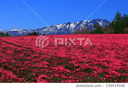 Red carpet and snow-covered mountains Red carpet and snow-covered mountains 138414588